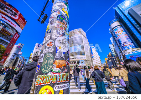 日本の東京都市景観復活ステッカー…インバウンドが続く渋谷。ほとんどが外国人観光客＝令和8年2月21日 137024650