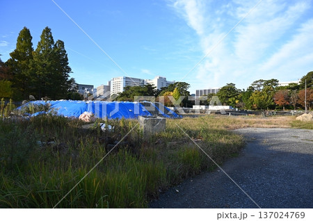 駿府城 天守台 発掘調査 静岡市 駿府城 天守台 発掘調査 静岡市 137024769