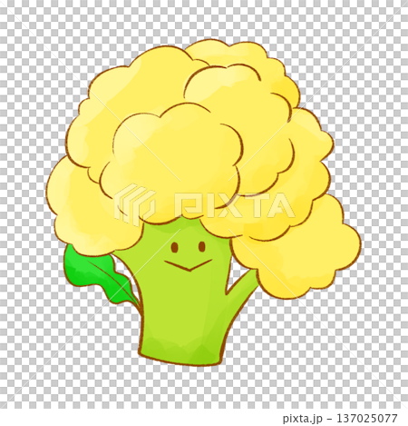 Fluffy yellow vegetables | Yellow cauliflower (line drawing) 137025077