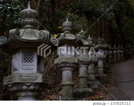 石の芸術:精巧な彫刻が施された石灯籠が織りなす日本の美 石の芸術:精巧な彫刻が施された石灯籠が織りなす日本の美 137025111