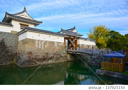 駿府城 巽櫓 東御門 静岡市 駿府城 巽櫓 東御門 静岡市 137025150