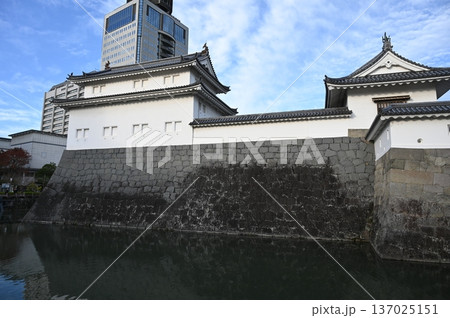 駿府城 巽櫓 静岡市 駿府城 巽櫓 静岡市 137025151