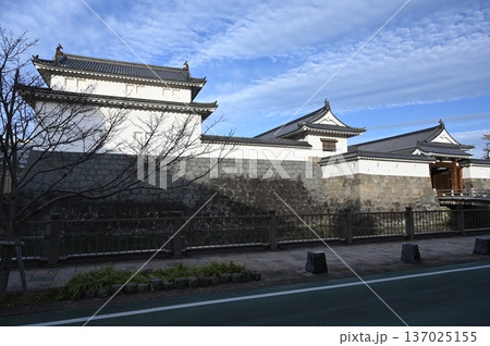 駿府城 巽櫓 東御門 静岡市 駿府城 巽櫓 東御門 静岡市 137025155
