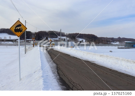 レトロな汽車踏切標識と真冬のラベンダー畑駅(ファーム富田方面) レトロな汽車踏切標識と真冬のラベンダー畑駅(ファーム富田方面) 137025160