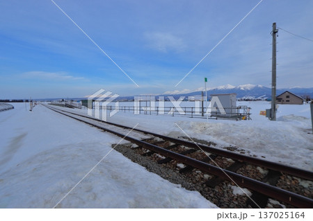 撤去中のラベンダー畑駅と旭岳・十勝連峰（北海道中富良野町） 137025164