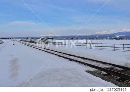 撤去中のラベンダー畑駅と旭岳・十勝連峰（北海道中富良野町） 137025165