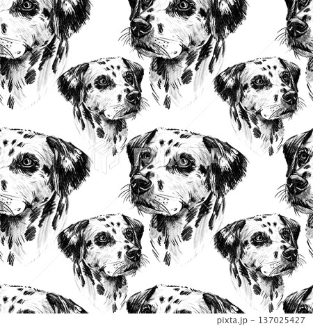 Seamless pattern with hand drawn Dalmatian dog portraits in pencil style. Black and white repeat texture with spotted puppies, perfect for fabric, wallpaper, wrapping paper, prints, and pet themed Seamless pattern with hand drawn Dalmatian dog portraits in pencil style. Black and white repeat texture with spotted puppies, perfect for fabric, wallpaper, wrapping paper, prints, and pet themed 137025427