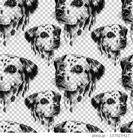 Seamless pattern with hand drawn Dalmatian dog portraits in pencil style. Black and white repeat texture with spotted puppies, perfect for fabric, wallpaper, wrapping paper, prints, and pet themed Seamless pattern with hand drawn Dalmatian dog portraits in pencil style. Black and white repeat texture with spotted puppies, perfect for fabric, wallpaper, wrapping paper, prints, and pet themed 137025427