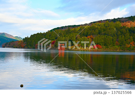 芦ノ湖　箱根町 137025566