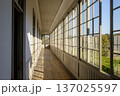 日射しが明るく注いでいる　古い洋館（西洋建築）の廊下 137025597