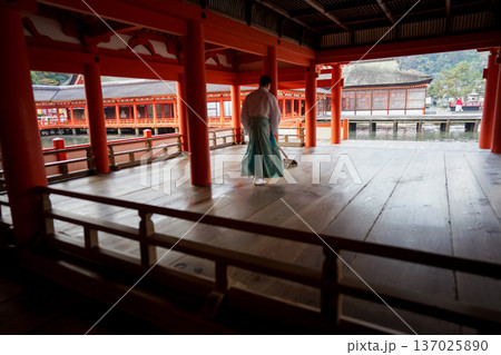 神主さんが掃除する厳島神社 神主さんが掃除する厳島神社 137025890