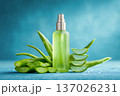 Refreshing aloe vera oil spray bottle is surrounded by fresh succulent leaves and water droplets on a blue surface, conveying a sense of moisturizing cooling effect and pure botanical self-care. 137026231