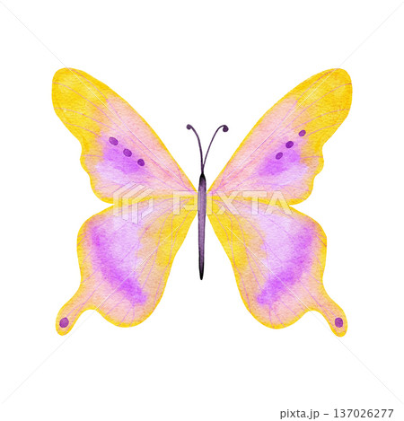 Watercolor hand drawn illustration of bright butterfly dragonfly insects. Natural forest butterflies in blue pink pastel soft colors. Wild wildlife nature ecology concept, cute whimsical art for 137026277