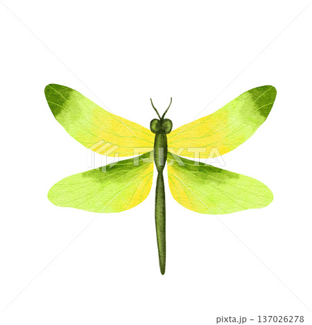 Watercolor hand drawn illustration of bright butterfly dragonfly insects. Natural forest butterflies in blue pink pastel soft colors. Wild wildlife nature ecology concept, cute whimsical art for 137026278