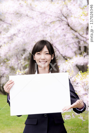 桜の前でホワイトボードを持つOL 137026346