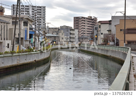 海老川が流れる船橋の街並み 海老川が流れる船橋の街並み 137026352