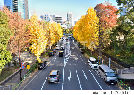 紅葉見物で国道に駐車するクルマ 137026355