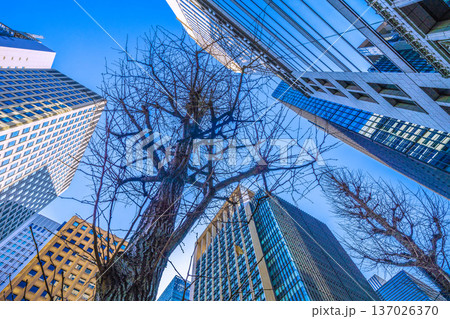 日本の東京都市景観2月21日。日本経済の憂鬱…「大手町駅前」交差点からビジネス街などを望む 日本の東京都市景観2月21日。日本経済の憂鬱…「大手町駅前」交差点からビジネス街などを望む 137026370