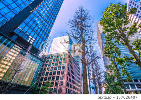 日本の東京都市景観2月21日。日本経済の憂鬱…冬の大手町・ビジネス街などを望む 137026407