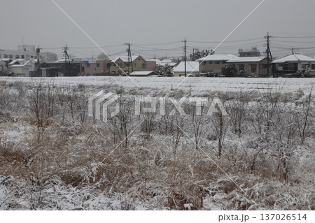 東京都八王子市浅川河川敷の雪景色 東京都八王子市浅川河川敷の雪景色 137026514