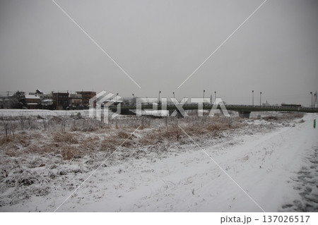 東京都八王子市浅川河川敷の雪景色 東京都八王子市浅川河川敷の雪景色 137026517
