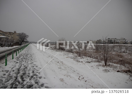 東京都八王子市浅川河川敷の雪景色 東京都八王子市浅川河川敷の雪景色 137026518