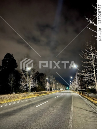 まっすぐ続く街灯のある無人の夜の道路 まっすぐ続く街灯のある無人の夜の道路 137026727