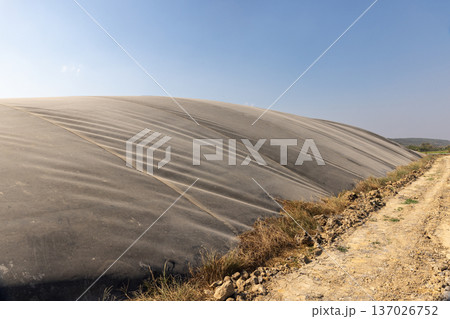 Covered lagoon digester for biogas production from poultry farm. 137026752