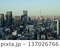 東京の都市風景と東京スカイツリー　快晴の都心景観 137026766
