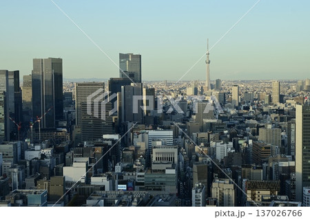 東京の都市風景と東京スカイツリー　快晴の都心景観 137026766