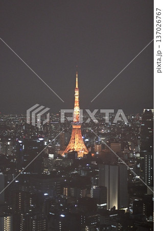 東京タワーと夜景 光り輝く都市風景 東京タワーと夜景 光り輝く都市風景 137026767