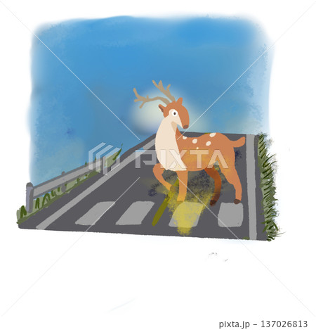 早朝の道路で驚く鹿 交通安全イラスト 青空背景 早朝の道路で驚く鹿 交通安全イラスト 青空背景 137026813