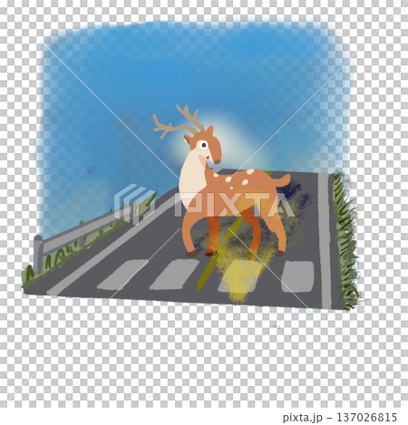 Deer stopping on the road early in the morning Traffic safety illustration Blue sky background Deer stopping on the road early in the morning Traffic safety illustration Blue sky background 137026815