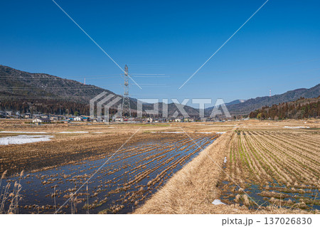 浅春の奥琵琶湖の田園風景 滋賀県長浜市永原 浅春の奥琵琶湖の田園風景 滋賀県長浜市永原 137026830