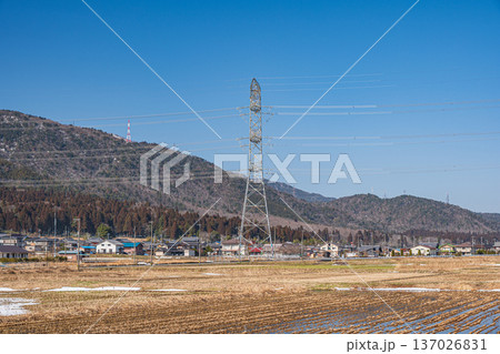 浅春の奥琵琶湖の田園風景　滋賀県長浜市永原 137026831