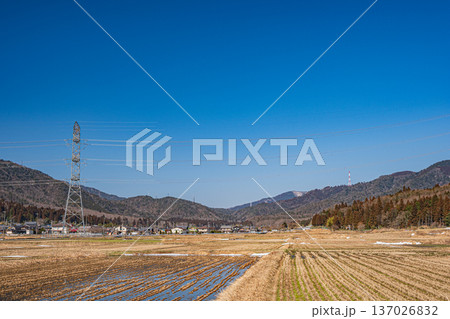 浅春の奥琵琶湖の田園風景　滋賀県長浜市永原 137026832