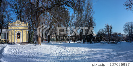 Snowy winter cityscape of UNESCO historic center of Odessa, Ukraine 137026957