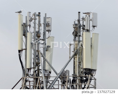 Telecommunications equipment closeup, Modern cell site infrastructure with cables and mounting hardware Telecommunications equipment closeup, Modern cell site infrastructure with cables and mounting hardware 137027129
