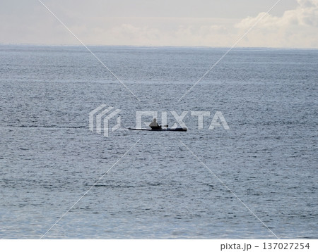 Serene ocean journey at sunrise captured, Calm solitary boat adventure amidst gentle morning mist 137027254