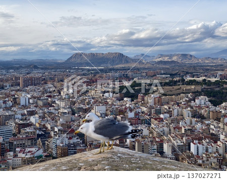 Abandoned walls showcase scenic vistas, Degraded fortresses offer stunning city and mountain views 137027271