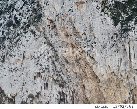 Weathered limestone with moss texture, Vertical cracks and lichens on pale gray stone surface Weathered limestone with moss texture, Vertical cracks and lichens on pale gray stone surface 137027362