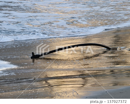 Marine relic on sandy shore, Ancient rusted anchor resting on damp shimmering golden shoreline 137027372