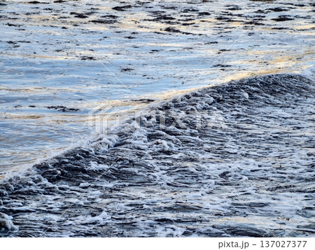 Coastal water turbulence study, Understanding sediment and organic material movement Coastal water turbulence study, Understanding sediment and organic material movement 137027377