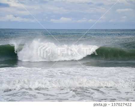 Balanced tubular wave illustrating ocean texture with striking tunnel opening and glassy surface highlights Balanced tubular wave illustrating ocean texture with striking tunnel opening and glassy surface highlights 137027422