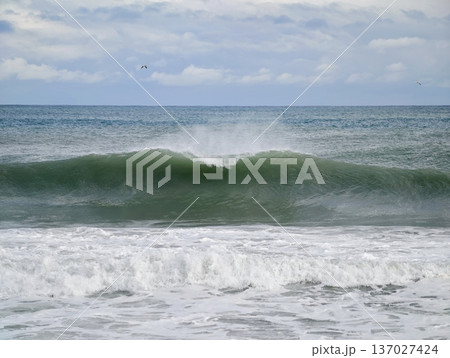 Surf splashes with energetic motion, Crashing breakers generate lively white water and energetic foam 137027424
