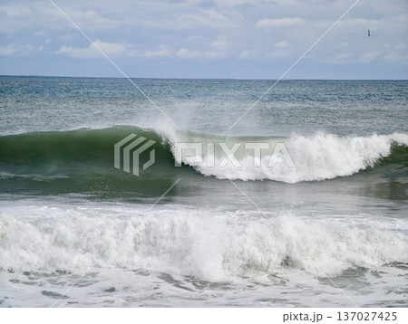 Dynamic shoreline terrain presents tumultuous waters with frothy foam under windy conditions 137027425
