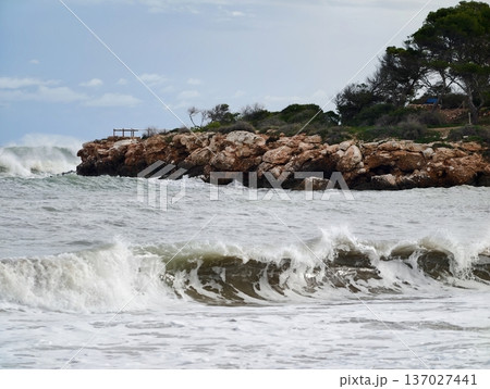 Peaceful coastal landscape showing turbulent waters alongside pine trees and rugged boulders 137027441