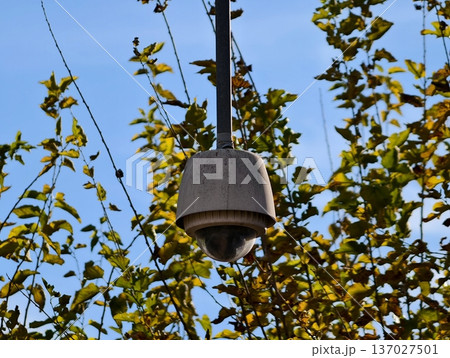 Outdoor public address system integrated into natural surroundings for city communications 137027501