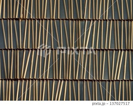 Close up view of horizontally aligned bamboo slats highlighting organic texture and subtle lighting nuances Close up view of horizontally aligned bamboo slats highlighting organic texture and subtle lighting nuances 137027517