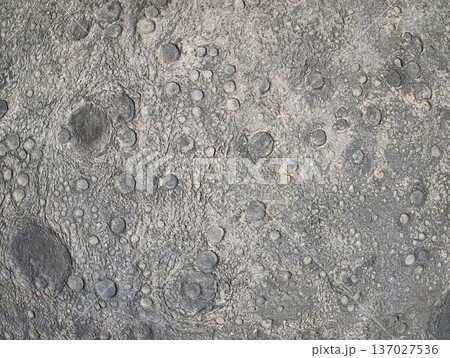Lunar surface with impact features, Detailed view of lunar landscape with basins and regolith Lunar surface with impact features, Detailed view of lunar landscape with basins and regolith 137027536